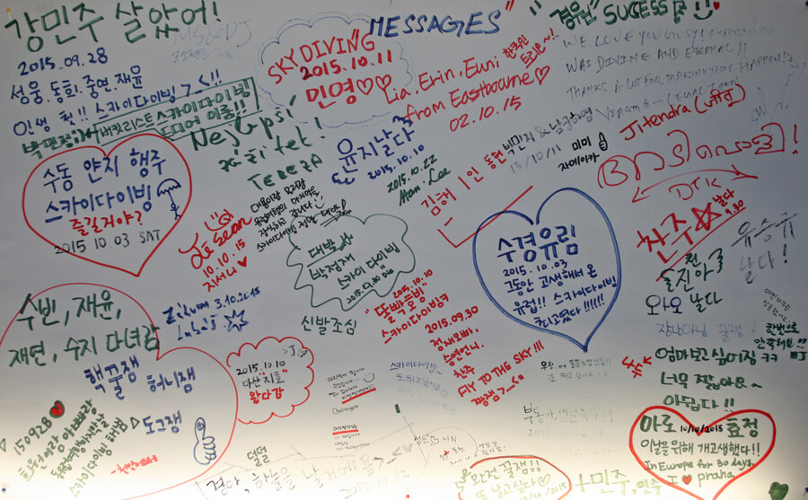 The words SKYDIVE MESSAGES among the passengers' messages